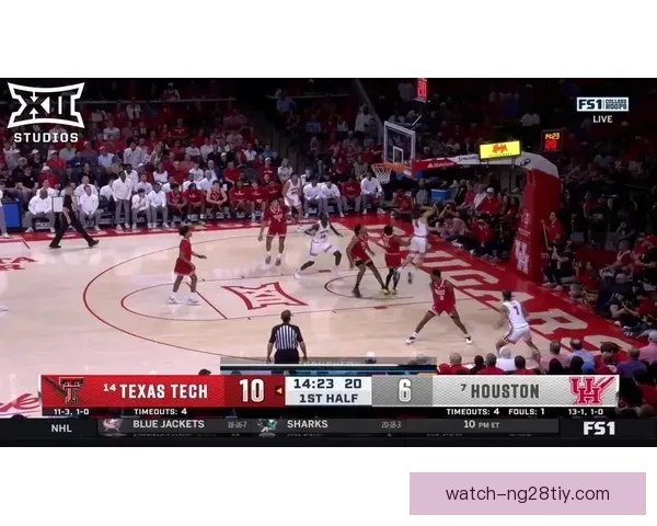 金斯顿弗莱明斯天才控卫罗斯